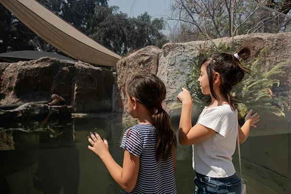 Twee kinderen in de dierentuin