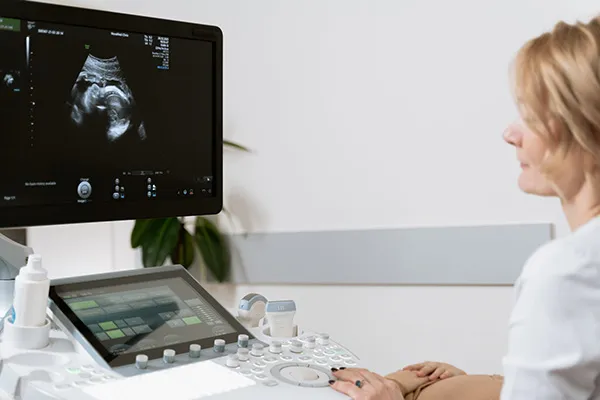 Gynaecoloog bekijkt echografie
