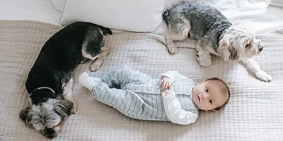 Baby en huisdieren